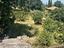 Immagine 18