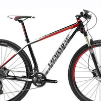 Mountain bike Haibike light rc Carbon