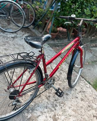 Bicicletta
