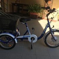 Bici elettrica