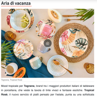 SERVIZIO 18 PIATTI NUOVI TOGNANA TROPICAL ROSè