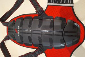 Paraschiena Zandoná