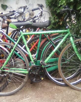 bici ripristinate vario modello