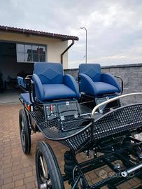 CARROZZE NUOVE 