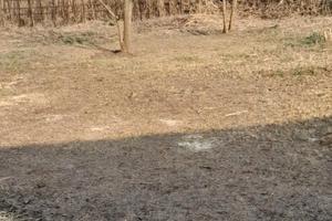 Terreno, Mondragone "DOMIZIANA"