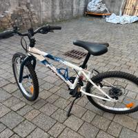 Bicicletta bimbo raggio 20
