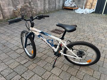 Bicicletta bimbo raggio 20