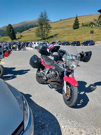 Guzzi Breva 1100