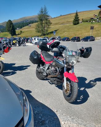 Guzzi Breva 1100
