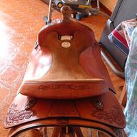 Sella western americana