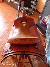 Sella western americana