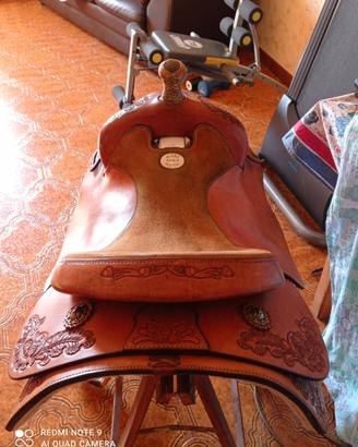 Sella western americana