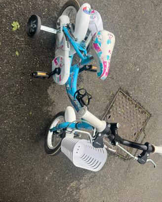 Bicicletta