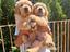 Immagine 4