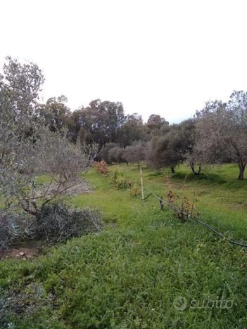 Terreno agricolo irriguo