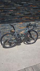 De rosa Merak