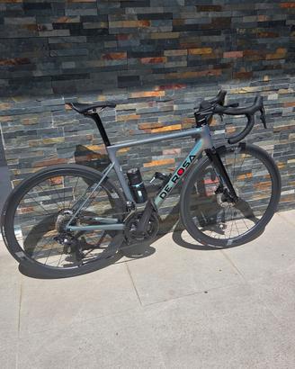 De rosa Merak