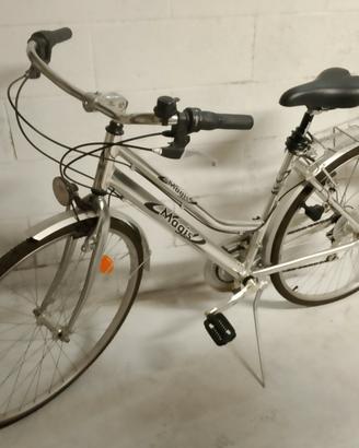 bicicletta da passeggio 