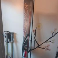 sci Fischer s-move 3.3