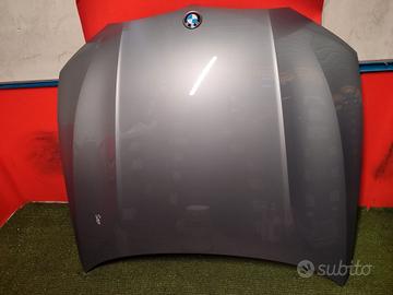 Cofano Originali BMW Serie 3 G20 G21