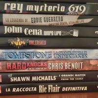 Lotto DVD WWE Wrestling Megastars