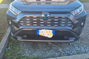 Toyota Rav 4 Benzina Hybrid  , cambio automatico