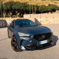 Cupra Formentor 2.0 TSI VZ 310 CV
