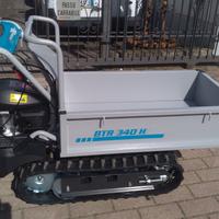 Motocariola cingolata