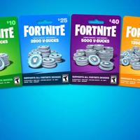 Fortnite Bundle