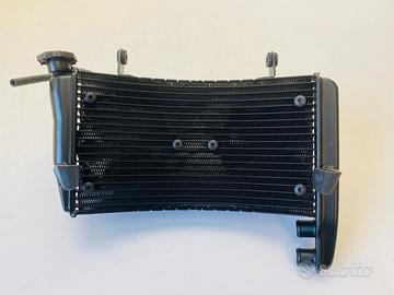 RADIATORE ACQUA DUCATI 749 999 R S CD 54840401A