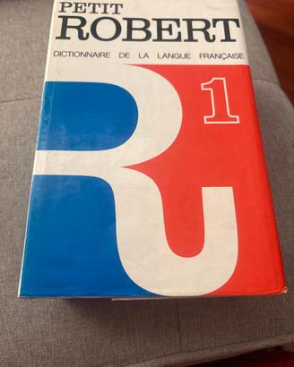 Dizionario francese