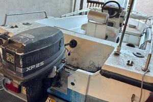 Barca 4,5 metri con carrello omologato