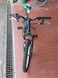 bicicletta bambino