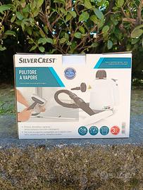 Pulitore a vapore 
