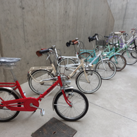 Tante bici graziella, a bacchetta e Ciao Piaggio