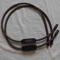 Cav. di segn.le Transparent Musiclink Super XL rca