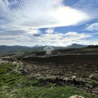 TER. AGRICOLO A CASTELLAMMARE DEL GOLFO