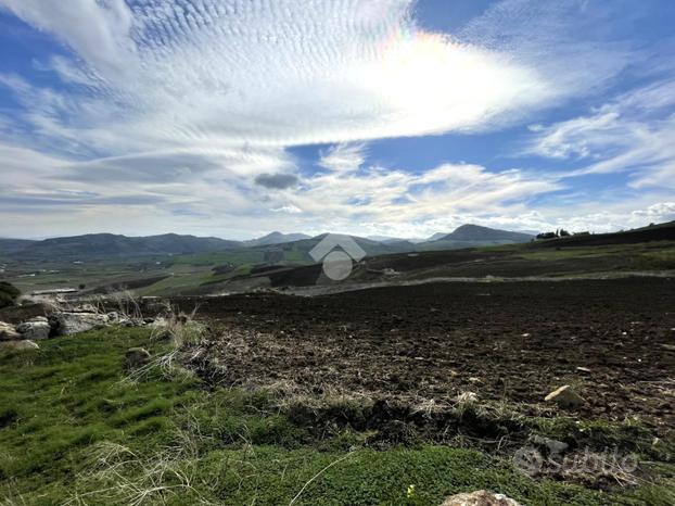 TER. AGRICOLO A CASTELLAMMARE DEL GOLFO