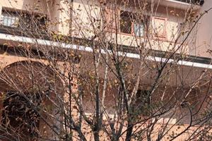 RIO SALICETO villetta a Schiera in condivisione