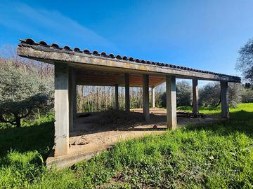 San cesareo:rustico indipendente