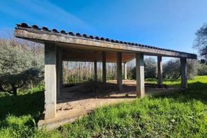 San cesareo:rustico indipendente