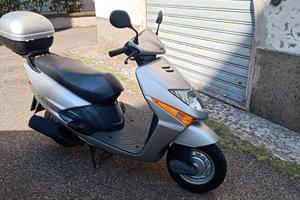 Honda Lead 100