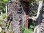 Immagine 26