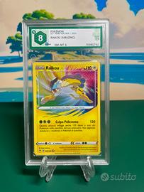 Pokemon raikou graad 8
