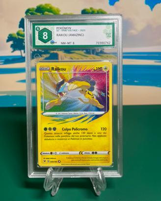 Pokemon raikou graad 8