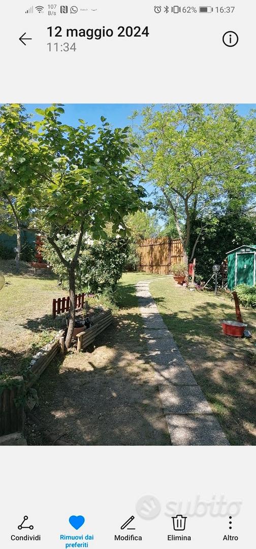 Terreno agricolo attrezzato - Vista 2