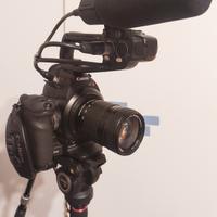 Canon c100