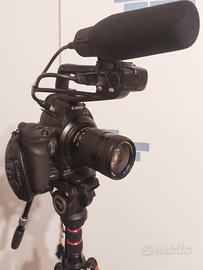 Canon c100
