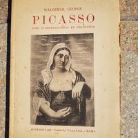 Libro Picasso