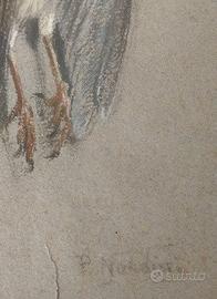 Opera del grande pittore ascolano P. Nardini